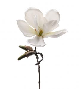 Magnolia - Vit - 30 cm - www.frokenfraken.se