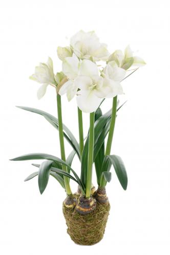 Amaryllis - Vit - 100 cm - www.frokenfraken.se