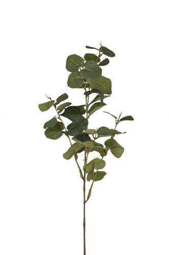 XXX_XXX_M_15/3 - Eucalyptus - Grn - 70 cm - www.frokenfraken.se