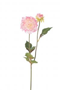 Dahlia - Rosa - 50 cm - www.frokenfraken.se