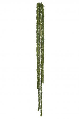 Succulent - - 90 cm - www.frokenfraken.se