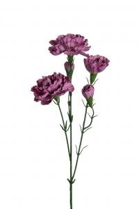 Elegance nejlika - Lila - 65 cm - www.frokenfraken.se