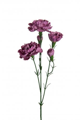 Elegance nejlika - Lila - 65 cm - www.frokenfraken.se
