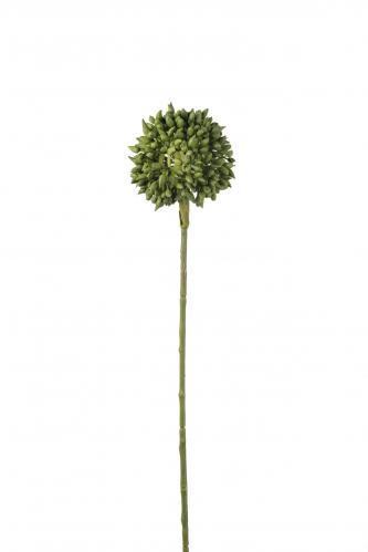 Allium - Grön - 45 cm - www.frokenfraken.se