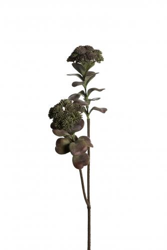 Succulent - Grn - 55 cm - www.frokenfraken.se