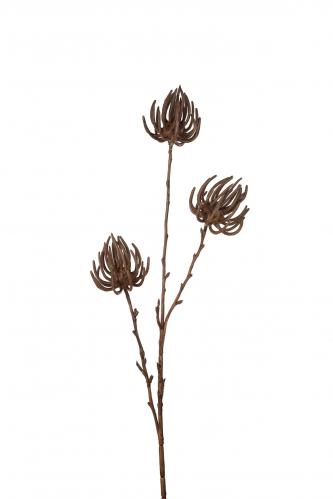 Succulent - Brun - 75 cm - www.frokenfraken.se