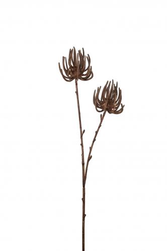 Succulent - Brun - 70 cm - www.frokenfraken.se