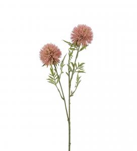 Allium - Rosa - 60 cm - www.frokenfraken.se