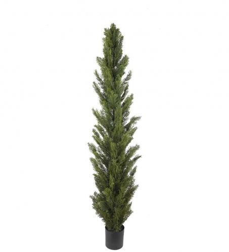 Cypress - Grn - 180 cm - www.frokenfraken.se