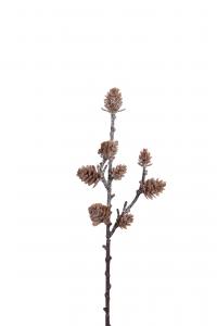 Kvist med kottar - Brun - 28 cm - www.frokenfraken.se