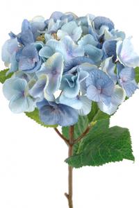 Hortensia - Blå sidenblomma - Ø18 cm - www.frokenfraken.se