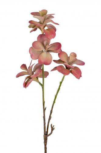 Succulent - Rosa - 50 cm - www.frokenfraken.se