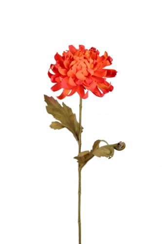 Chrysanthemum - Orange - 55 cm - www.frokenfraken.se
