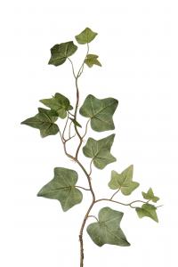 Mr Plant Murgröna - Grön - 45 cm - www.frokenfraken.se