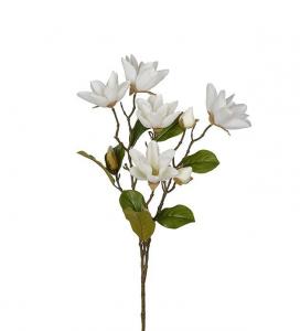Magnolia - Vit - 90 cm - www.frokenfraken.se