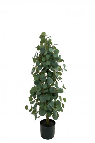 Eucalyptus - Grn - 100 cm - www.frokenfraken.se