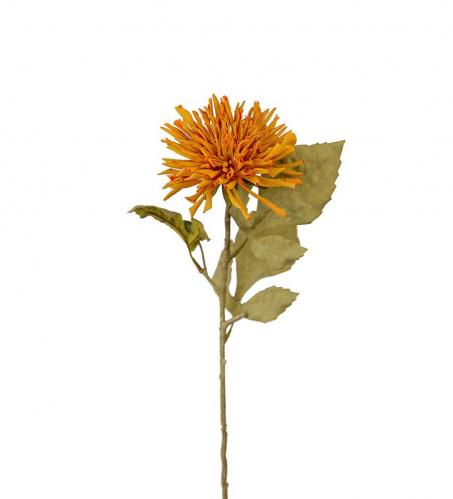 Chrysanthemum - Orange - 60 cm - www.frokenfraken.se
