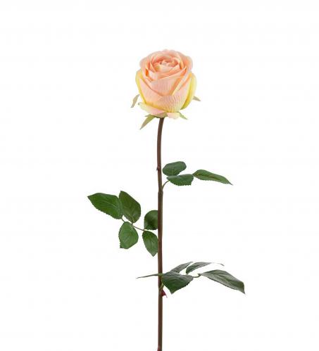 Ros Rosa - Rosa - 75 cm - www.frokenfraken.se