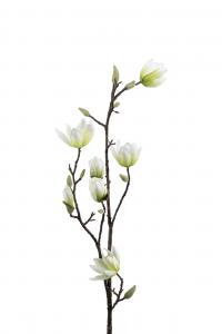 Magnolia - Vit - 100 cm - www.frokenfraken.se