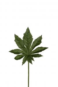 Aralia blad - Grön - 25 cm - www.frokenfraken.se