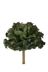 Succulent - Grön - 20 cm - www.frokenfraken.se