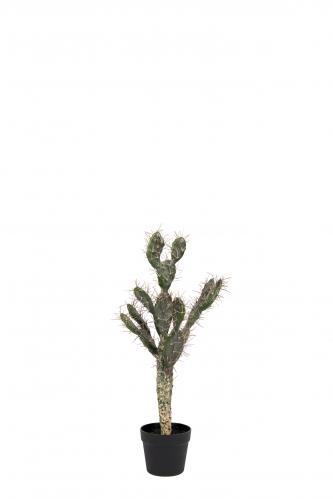 Kaktus - Grn - 70 cm - www.frokenfraken.se