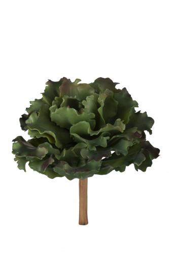 Succulent - Grn - 20 cm - www.frokenfraken.se
