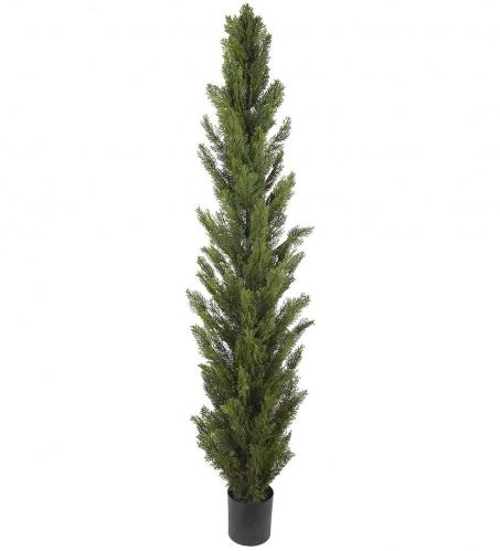 Cypress - Grn - 210 cm - www.frokenfraken.se