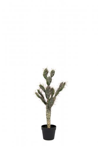 Kaktus - Grön - 70 cm - www.frokenfraken.se