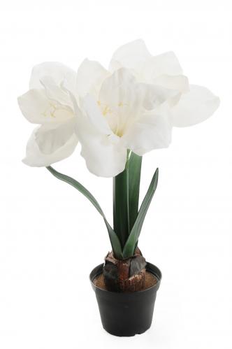 Amaryllis - Vit - 45 cm - www.frokenfraken.se