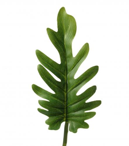Philodendron blad - Grn - 38 cm - www.frokenfraken.se