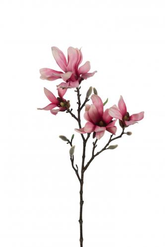 Magnolia - Rosa - 50 cm - www.frokenfraken.se