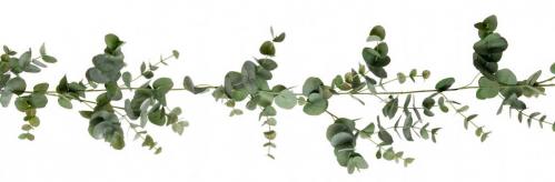 Eucalyptus girlang - Grön - 190 cm - www.frokenfraken.se