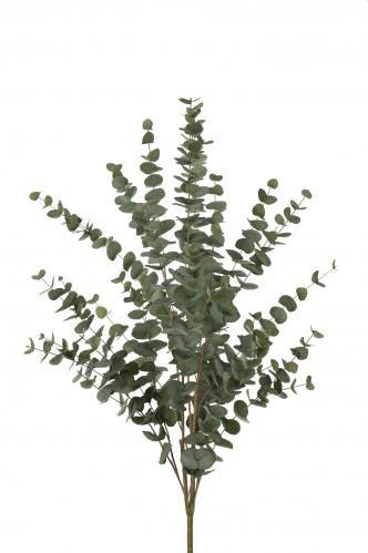 Eucalyptus - Grn - 120 cm - www.frokenfraken.se
