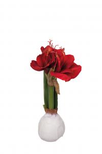 Amaryllis i vax - Röd - 30 cm - www.frokenfraken.se