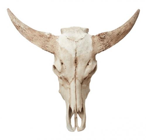 Vggdekoration - Nature Skull - 65x23xH60 cm - www.frokenfraken.se