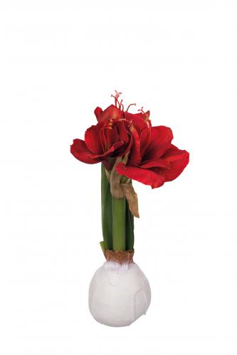 Amaryllis i vax - Röd - 30 cm - www.frokenfraken.se