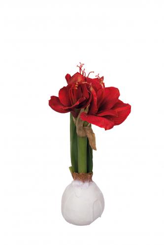 Amaryllis i vax - Rd - 30 cm - www.frokenfraken.se