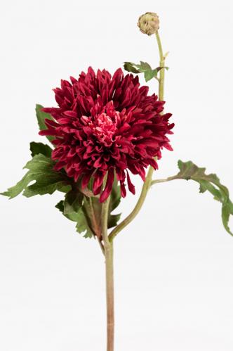 SLUT_Chrysanthemum - www.frokenfraken.se