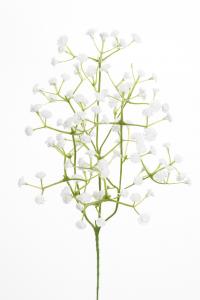 Brudslöja - Vit - 50 cm - www.frokenfraken.se