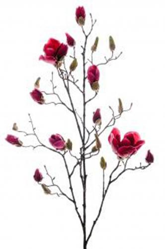 Magnolia - Rosa - 110 cm - www.frokenfraken.se