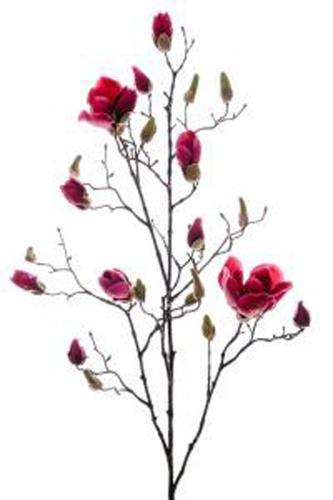 Magnolia - Rosa - 110 cm - www.frokenfraken.se