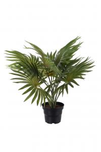 Palm - Grön - 35 cm - www.frokenfraken.se