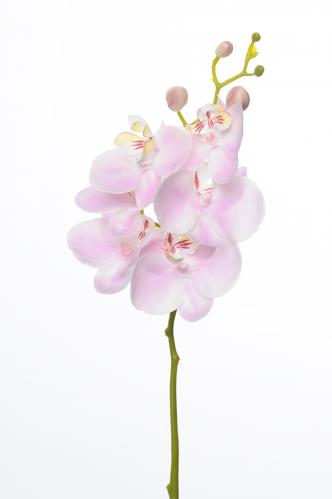 Phalaenopsis - Rosa - 52 cm - www.frokenfraken.se