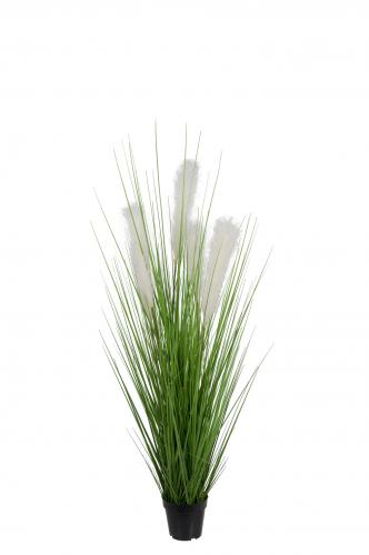 Gräs - - 120 cm - www.frokenfraken.se