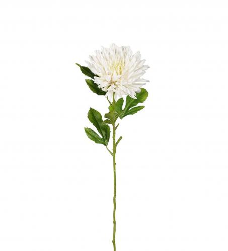 Chrysanthemum - Vit - 60 cm - www.frokenfraken.se