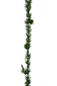 Girlang - Julgirlang Barr - Grön - 180 cm - www.frokenfraken.se