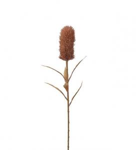 Banksia - Brun - 75 cm - www.frokenfraken.se