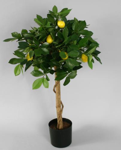 Citrusträd - Citron - Konstväxt - 80 cm - www.frokenfraken.se