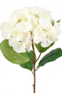 Hortensia - Vit/grön sidenblomma - Ø18 cm - www.frokenfraken.se